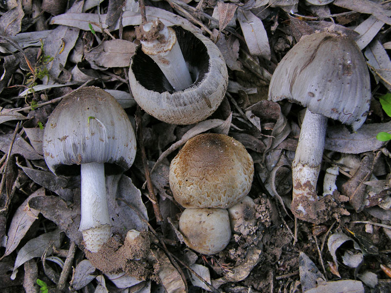 Ritrovamenti sabato 14 aprile.